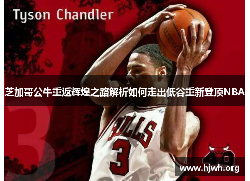 芝加哥公牛重返辉煌之路解析如何走出低谷重新登顶NBA