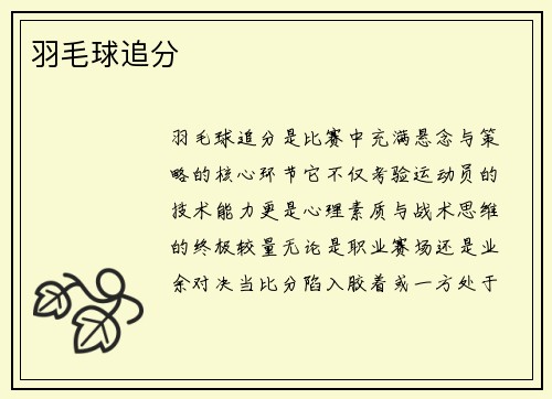 羽毛球追分